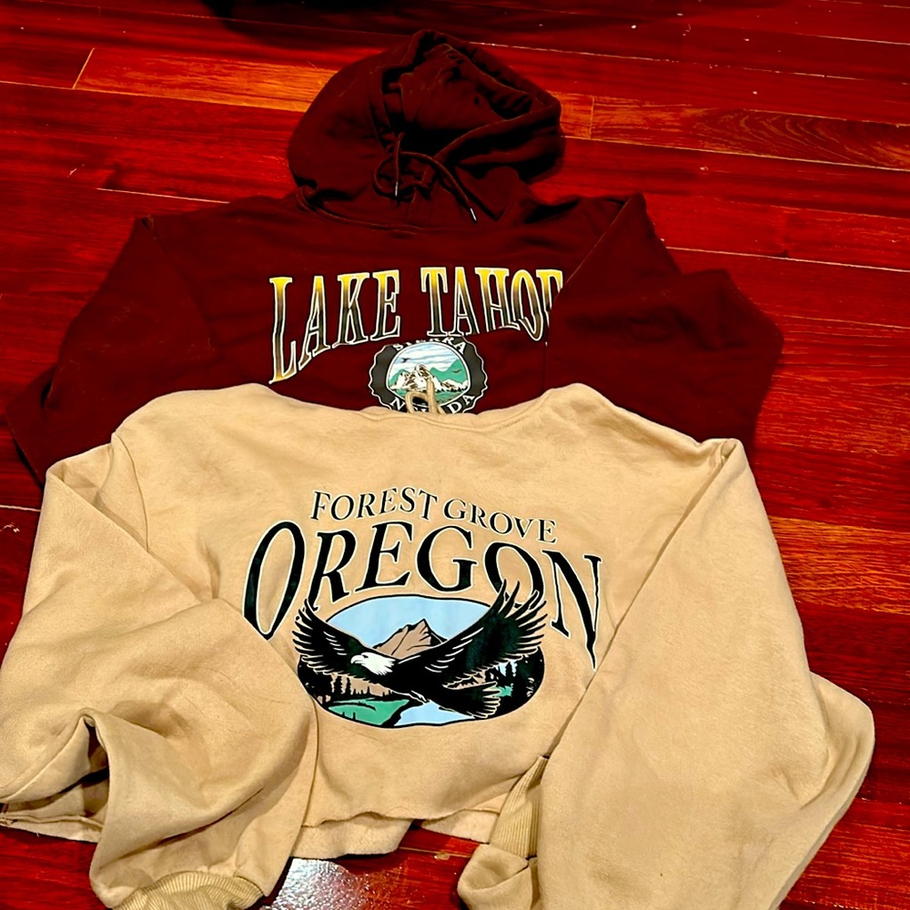 Two cropped hoodies